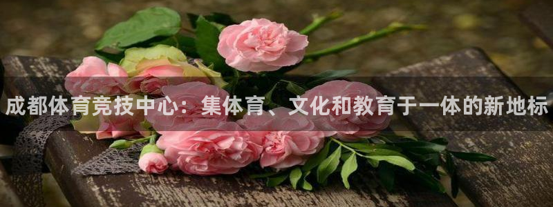公海赌赌船官方正版app娱乐首页官网下载：成都体育竞