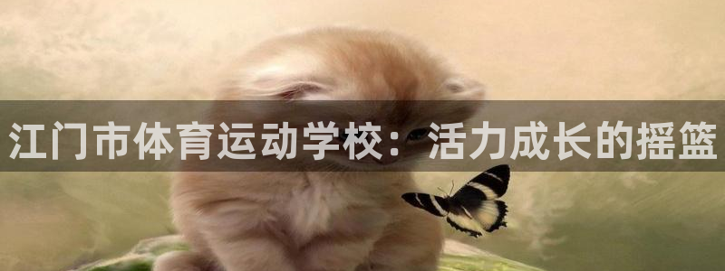 海南公海赌赌船官网下载发展怎么样：江门市体育运动学校