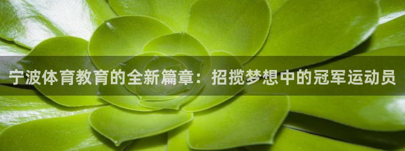 公海赌赌船官网下载招商电话：宁波体育教育的全新篇章：
