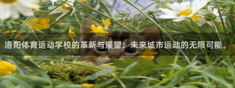 公海赌赌船官网下载平台假的吗是真的吗吗：洛阳体育运动