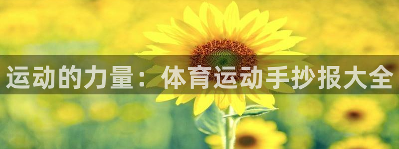 公海赌赌船官网下载平台注册流程图：运动的力量：体育运