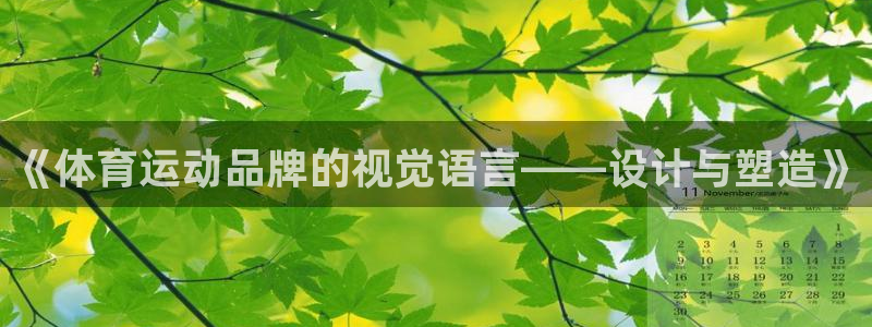 公海赌赌船官方正版app娱乐网站：《体育运动品牌的视