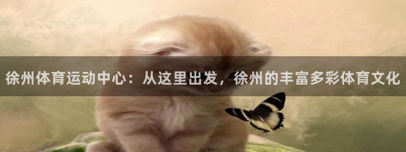 公海赌赌船官网下载平台APP：徐州体育运动中心：从这里出发，