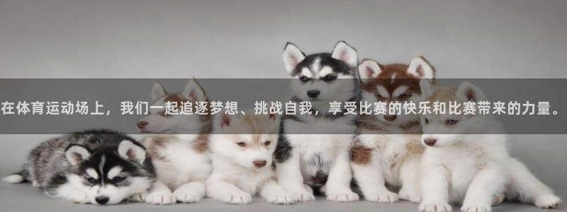 公海赌赌船官网下载招商电话号码是多少啊：在体育运动场上，我们