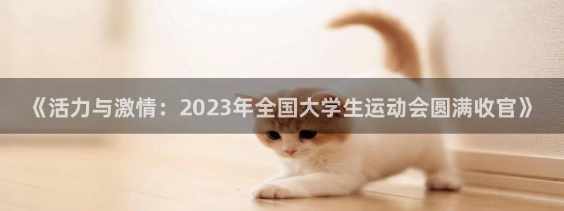 公海赌赌船官方正版app神州：《活力与激情：2023