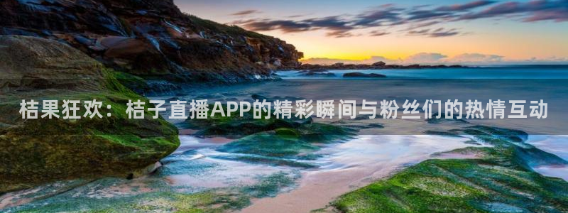 小九nba直播免费