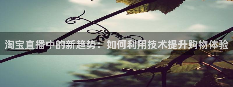小九直播nba免费观看高清