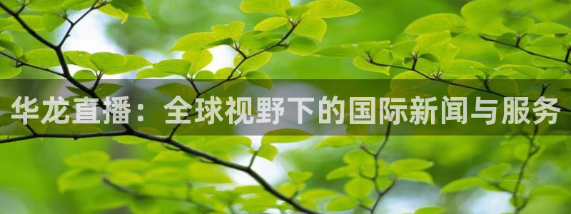 小九直播nba乐悠