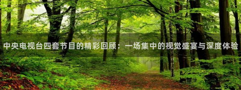 nba赛程直播在线观看视频小九：中央电视台四套节目的精彩回顾：一场集中的视觉盛宴与深度体验