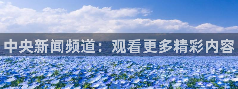 小九直播免费足球观看：中央新闻频道：观看更多精彩内容