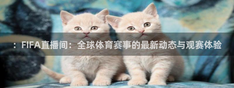 小九nba直播在线观看高清免费：：FIFA直播间：全球体育赛事的最新动态与观赛体验