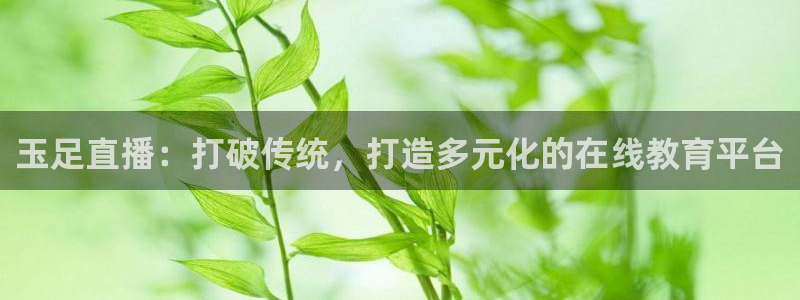 小九看球直播：玉足直播：打破传统，打造多元化的在线教育平台