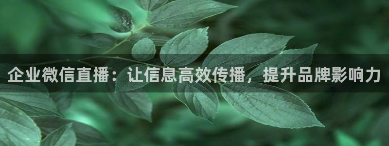 小九nba在线直播免费观看直播高清：企业微信直播：让信息高效传播，提升品牌影响力