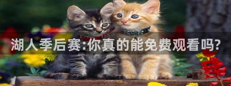 小九足球直播在线观看高清：湖人季后赛:你真的能免费观看吗?