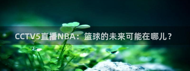 小九直播下载：CCTV5直播NBA：篮球的未来可能在哪儿？