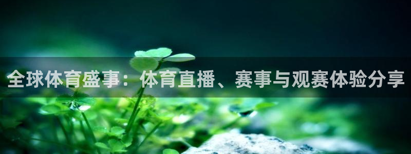 小九直播体育：全球体育盛事：体育直播、赛事与观赛体验分享